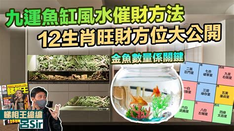 魚缸風水數量